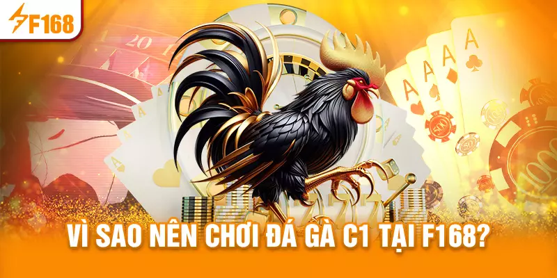 Lý do nên chơi đá gà C1 tại nhà cái F168?